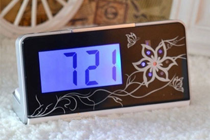 World's Smallest Camera